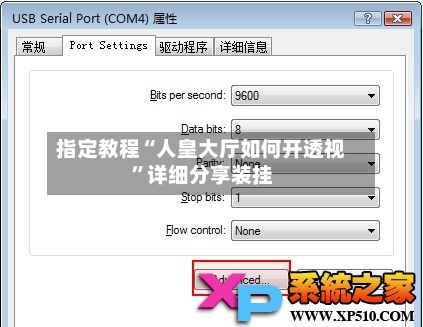指定教程“人皇大厅如何开透视”详细分享装挂-第1张图片