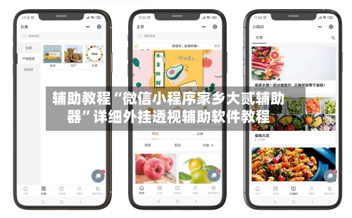辅助教程“微信小程序家乡大贰辅助器”详细外挂透视辅助软件教程-第1张图片