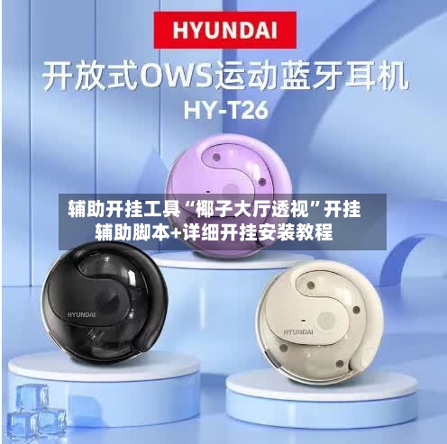 辅助开挂工具“椰子大厅透视”开挂辅助脚本+详细开挂安装教程-第1张图片