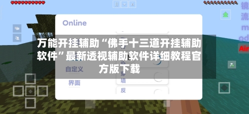 万能开挂辅助“佛手十三道开挂辅助软件	”最新透视辅助软件详细教程官方版下载-第1张图片