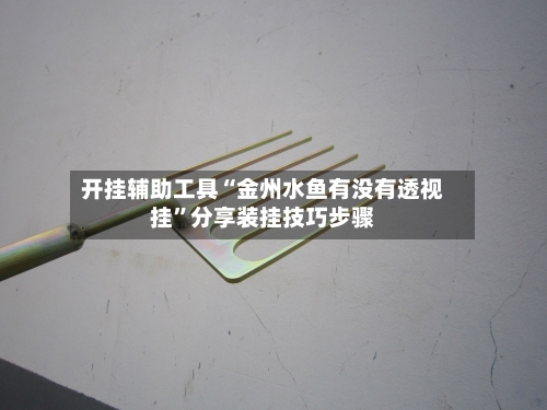 开挂辅助工具“金州水鱼有没有透视挂”分享装挂技巧步骤-第1张图片