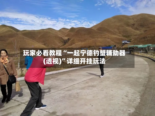 玩家必看教程“一起宁德钓蟹辅助器(透视)”详细开挂玩法-第1张图片