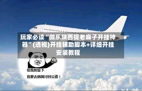 玩家必读“微乐陕西捉老麻子开挂神器	”(透视)开挂辅助脚本+详细开挂安装教程-第1张图片