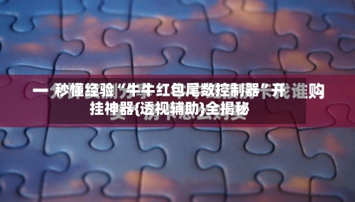 秒懂经验“牛牛红包尾数控制器”开挂神器{透视辅助}全揭秘-第1张图片
