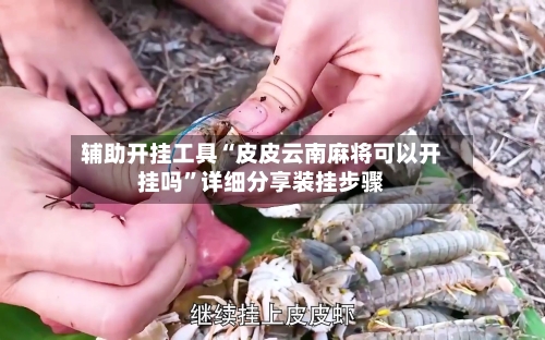 辅助开挂工具“皮皮云南麻将可以开挂吗”详细分享装挂步骤-第1张图片