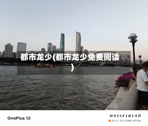 都市龙少(都市龙少免费阅读)-第1张图片