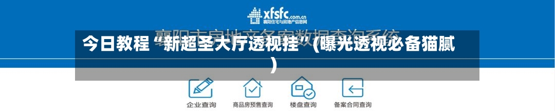 今日教程“新超圣大厅透视挂”(曝光透视必备猫腻)-第1张图片