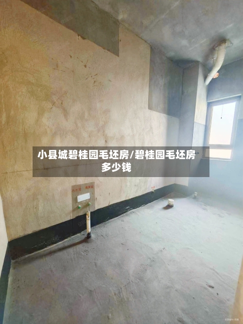 小县城碧桂园毛坯房/碧桂园毛坯房多少钱-第1张图片