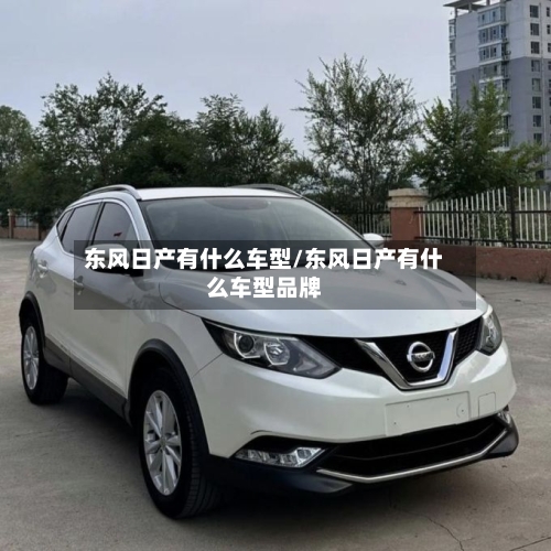 东风日产有什么车型/东风日产有什么车型品牌-第1张图片
