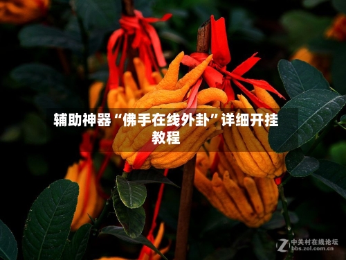 辅助神器“佛手在线外卦”详细开挂教程-第1张图片