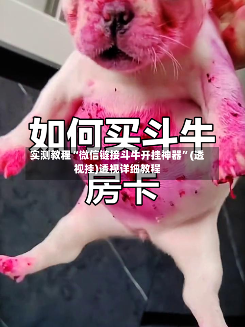 实测教程“微信链接斗牛开挂神器	”(透视挂)透视详细教程-第1张图片