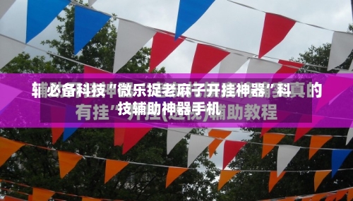 必备科技“微乐捉老麻子开挂神器	”科技辅助神器手机-第1张图片