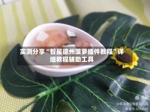 实测分享“智星德州菠萝插件教程”详细教程辅助工具-第1张图片