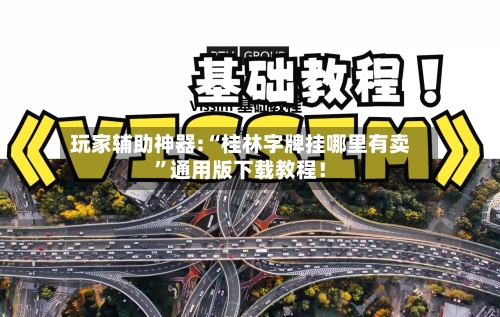 玩家辅助神器:“桂林字牌挂哪里有卖	”通用版下载教程！-第1张图片