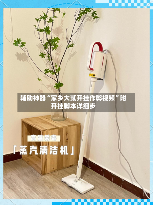 辅助神器“家乡大贰开挂作弊视频”附开挂脚本详细步-第1张图片