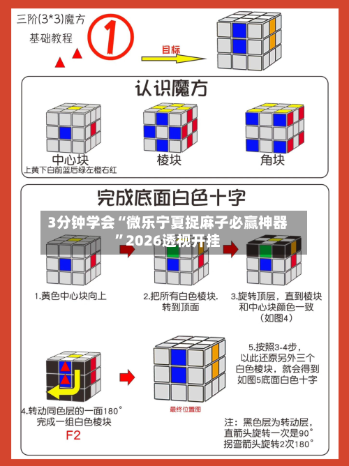 3分钟学会“微乐宁夏捉麻子必赢神器”2026透视开挂-第1张图片