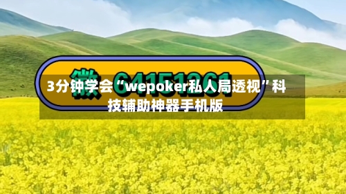 3分钟学会“wepoker私人局透视	”科技辅助神器手机版-第1张图片