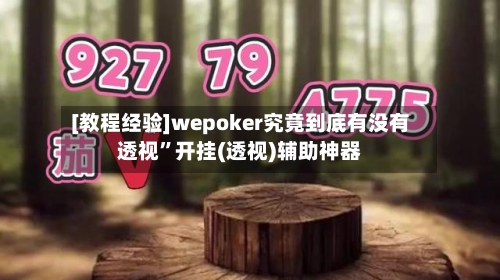 [教程经验]wepoker究竟到底有没有透视	”开挂(透视)辅助神器-第1张图片