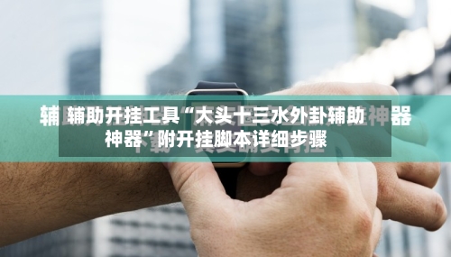 辅助开挂工具“大头十三水外卦辅助神器”附开挂脚本详细步骤-第1张图片