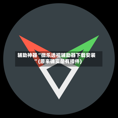 辅助神器“微乐透视辅助器下载安装	”(原来确实是有插件)-第1张图片