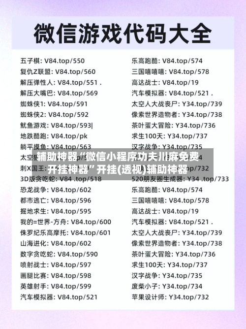 辅助神器“微信小程序功夫川麻免费开挂神器”开挂(透视)辅助神器-第1张图片