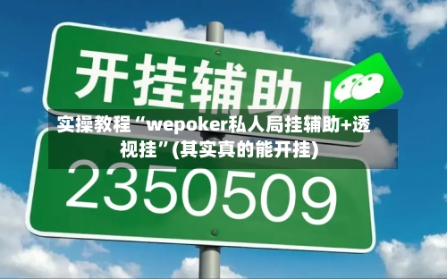 实操教程“wepoker私人局挂辅助+透视挂	”(其实真的能开挂)-第1张图片
