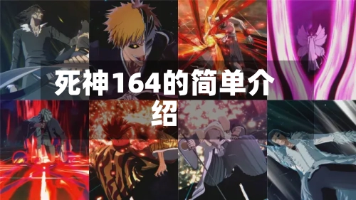 死神164的简单介绍-第1张图片