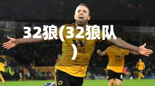 32狼(32狼队)-第1张图片