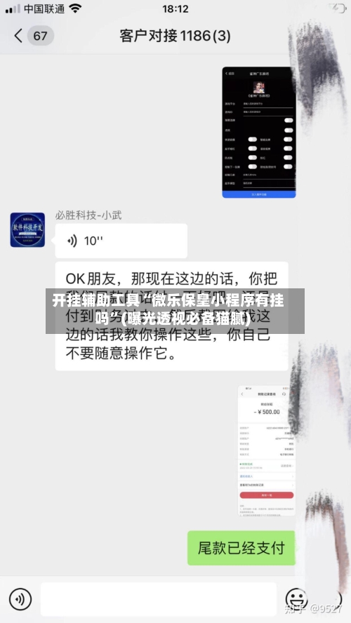 开挂辅助工具“微乐保皇小程序有挂吗	”(曝光透视必备猫腻)-第1张图片