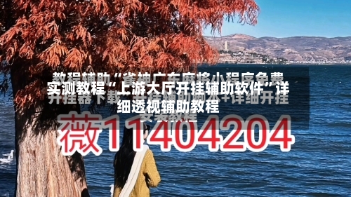 实测教程“上游大厅开挂辅助软件”详细透视辅助教程-第1张图片