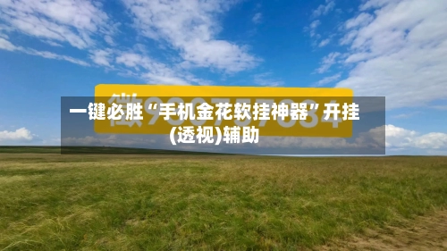 一键必胜“手机金花软挂神器”开挂(透视)辅助-第1张图片