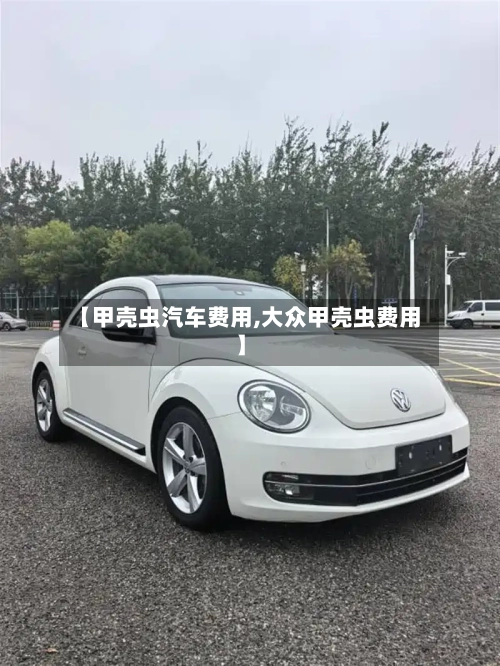 【甲壳虫汽车费用,大众甲壳虫费用】-第1张图片