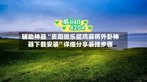 辅助神器“贵阳微乐捉鸡麻将外卦神器下载安装”详细分享装挂步骤-第1张图片
