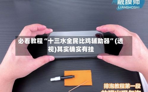 必看教程“十三水全民比鸡辅助器	”(透视)其实确实有挂-第1张图片