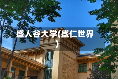 盛人谷大学(盛仁世界)-第1张图片