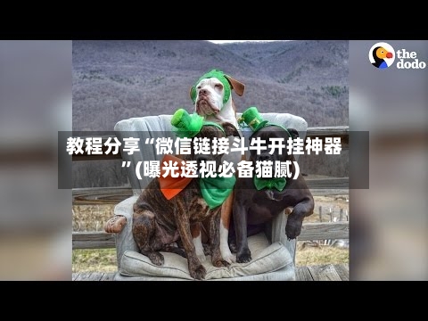 教程分享“微信链接斗牛开挂神器”(曝光透视必备猫腻)-第1张图片
