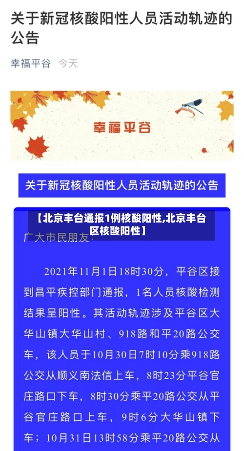 【北京丰台通报1例核酸阳性,北京丰台区核酸阳性】-第1张图片