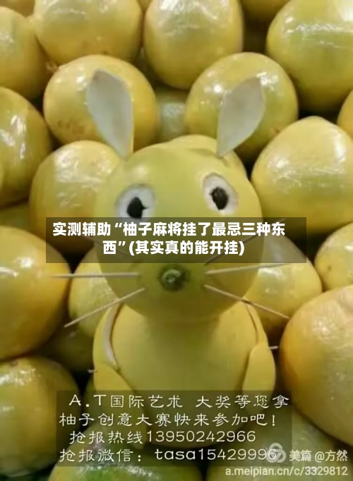 实测辅助“柚子麻将挂了最忌三种东西”(其实真的能开挂)-第1张图片