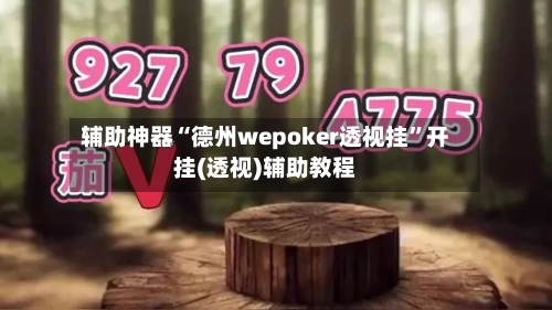 辅助神器“德州wepoker透视挂”开挂(透视)辅助教程-第1张图片