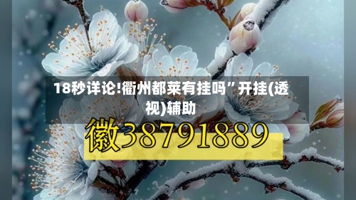 18秒详论!衢州都莱有挂吗”开挂(透视)辅助-第1张图片
