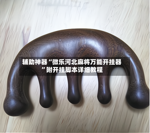 辅助神器“微乐河北麻将万能开挂器	”附开挂脚本详细教程-第1张图片