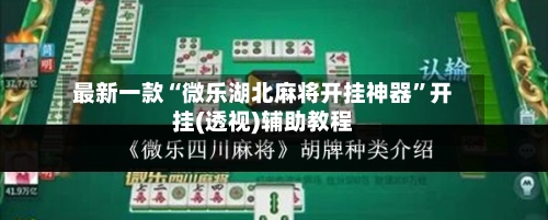最新一款“微乐湖北麻将开挂神器”开挂(透视)辅助教程-第1张图片
