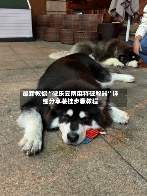 最新教你“微乐云南麻将破解器”详细分享装挂步骤教程-第1张图片