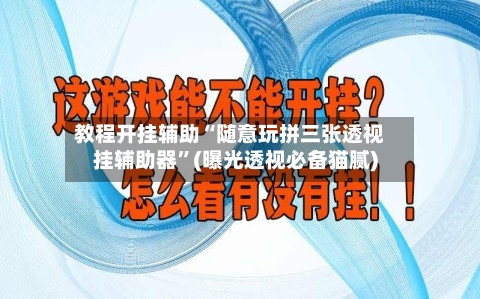 教程开挂辅助“随意玩拼三张透视挂辅助器”(曝光透视必备猫腻)-第1张图片