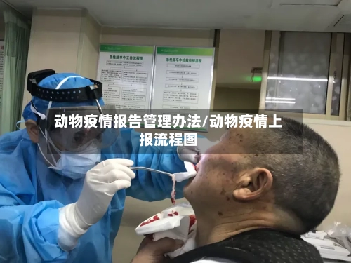 动物疫情报告管理办法/动物疫情上报流程图-第1张图片