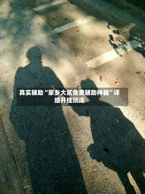 真实辅助“家乡大贰免费辅助神器”详细开挂玩法-第1张图片