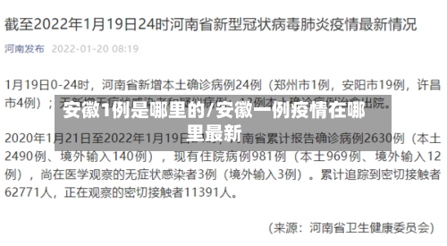 安徽1例是哪里的/安徽一例疫情在哪里最新-第1张图片