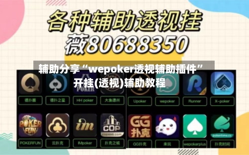 辅助分享“wepoker透视辅助插件”开挂(透视)辅助教程-第1张图片