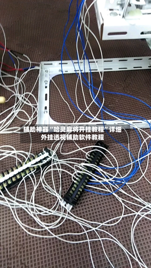 辅助神器“哈灵麻将开挂教程	”详细外挂透视辅助软件教程-第1张图片