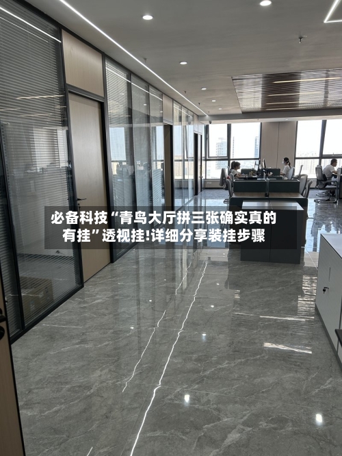 必备科技“青鸟大厅拼三张确实真的有挂”透视挂!详细分享装挂步骤-第1张图片